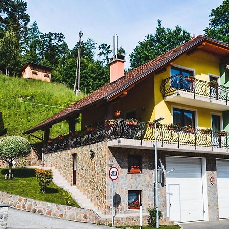 Apartmaji Krebs Mezica Экстерьер фото
